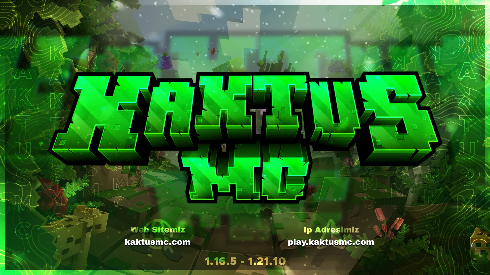 kaktus1.webp