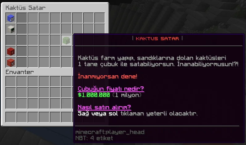 kaktüssistemi.webp