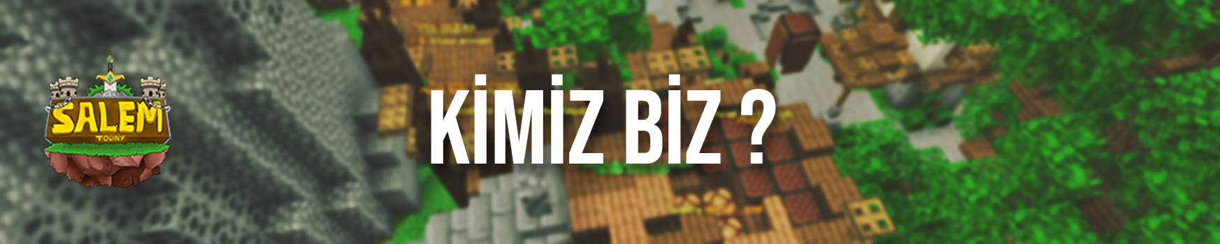 kimizbiz.png