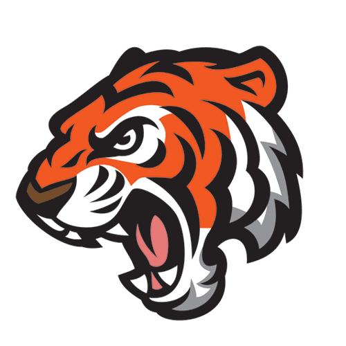 kisspng-tiger-mascot-5af4168f299305.3318969915259459991703 (2).png