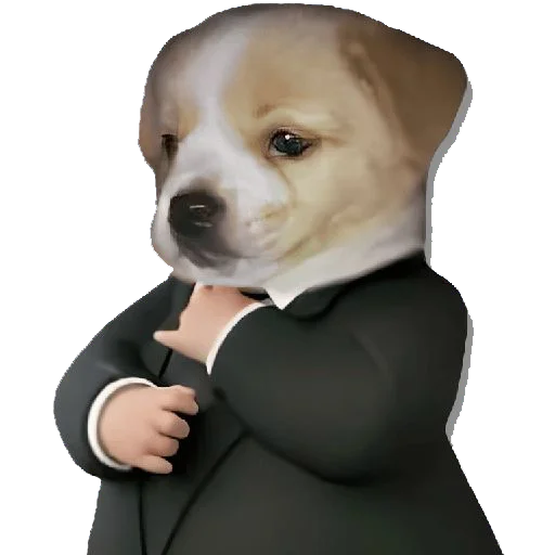 köpek.webp