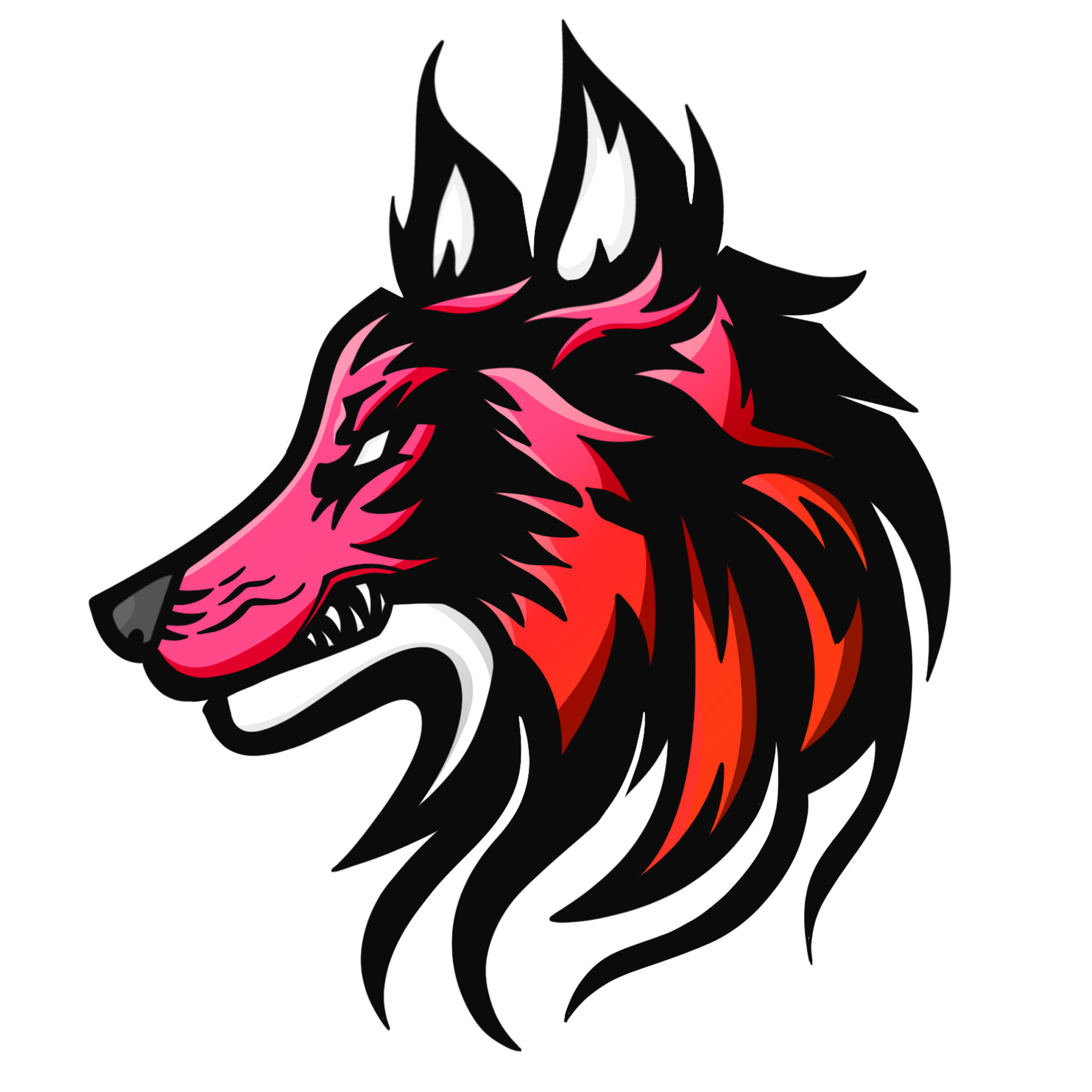 logo3.png