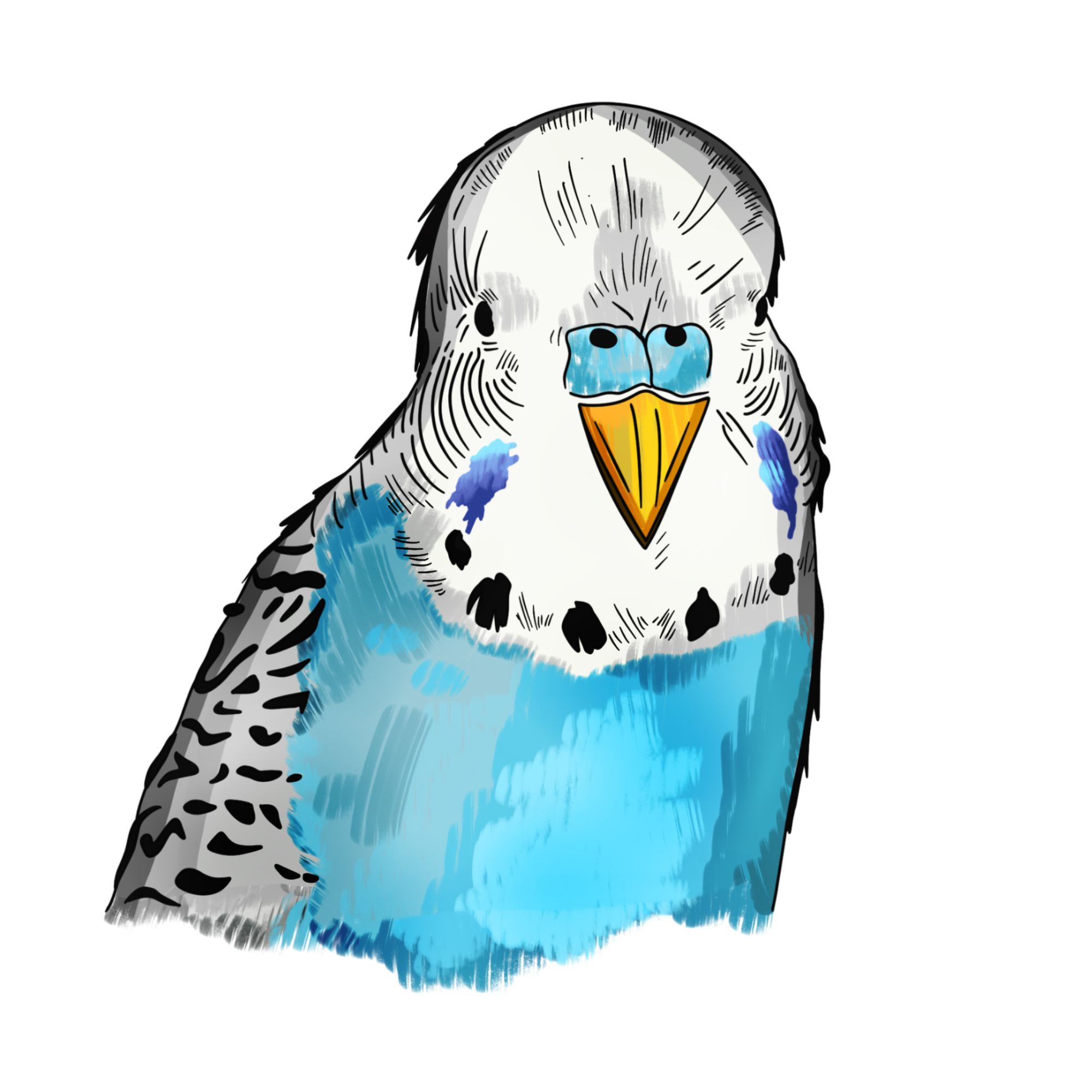 logoPNG.png