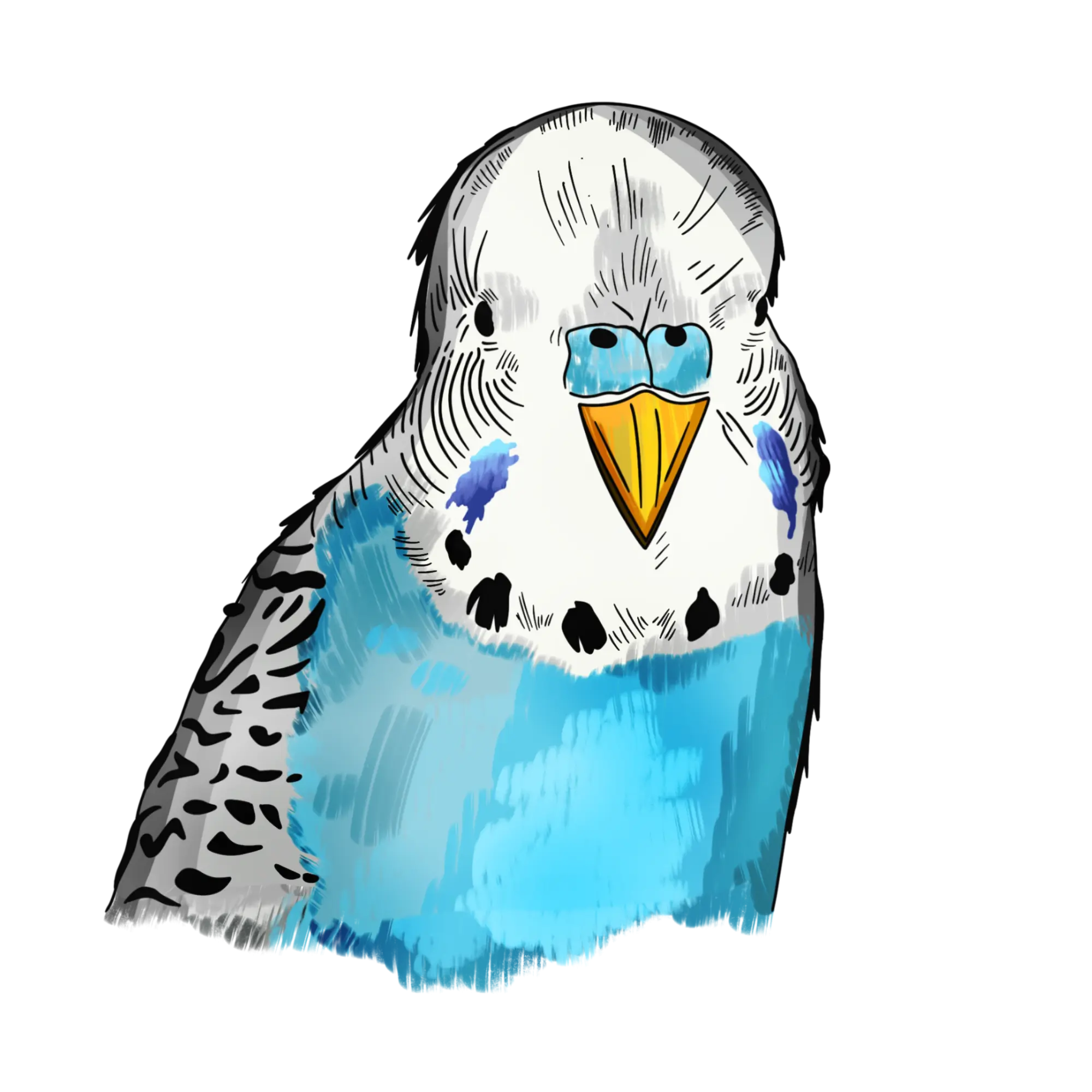 logoPNG.webp