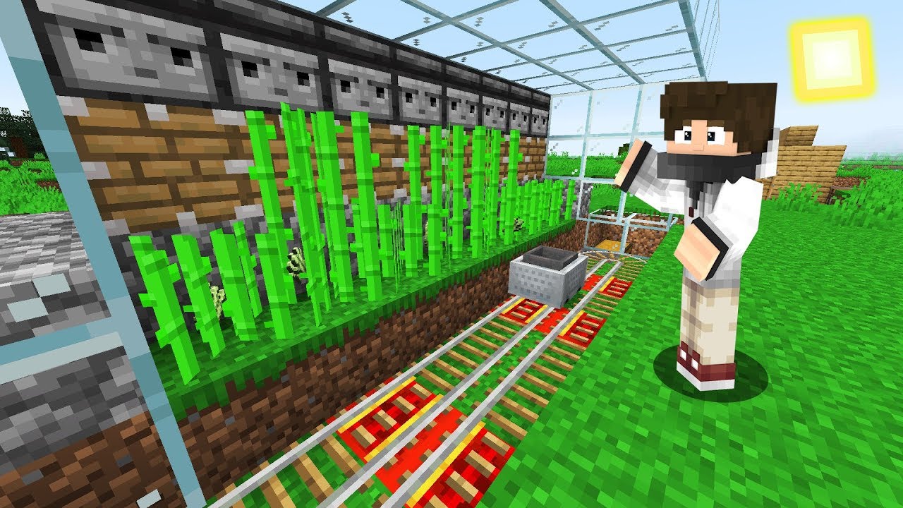 maxresdefault (1).jpg