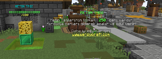 MetinTasi.png