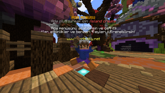 Minecraft_1.8.9_-_SonOyuncu_Client_28.08.2022_19_13_51.png