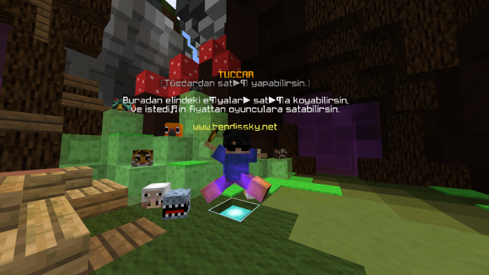 Minecraft_1.8.9_-_SonOyuncu_Client_28.08.2022_19_14_53.png