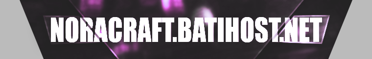 NORACRAFT BATIHOST NET.png