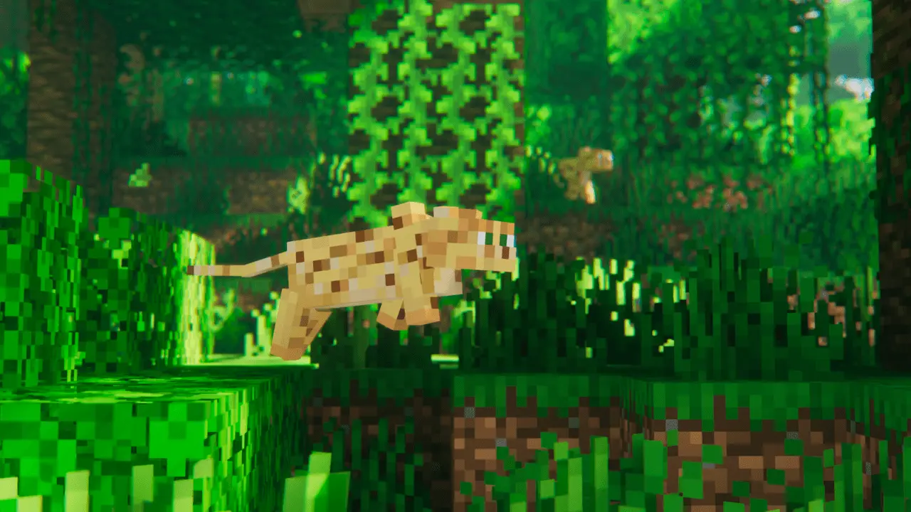 ocelot.webp