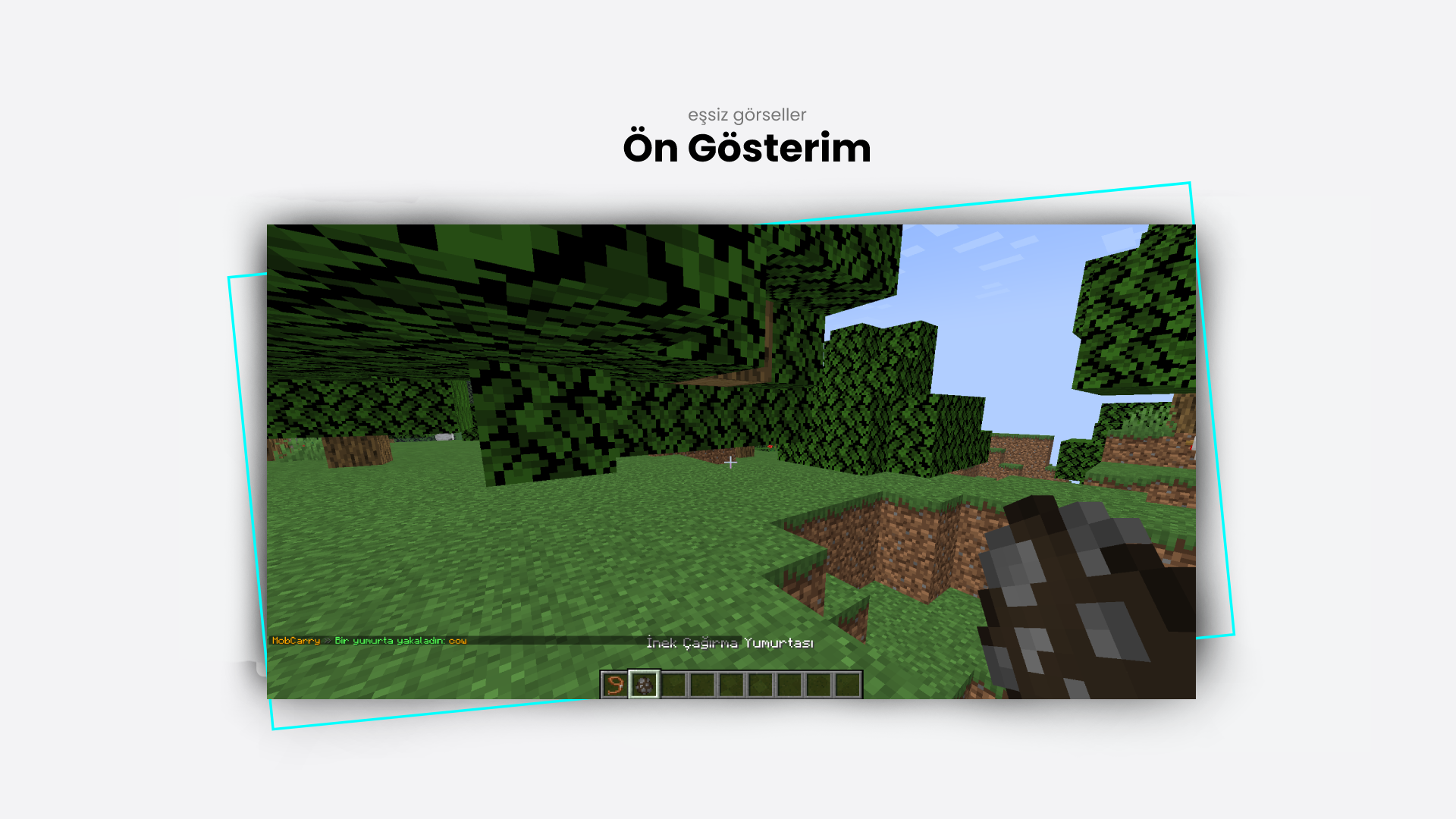 ön-gösterim.png