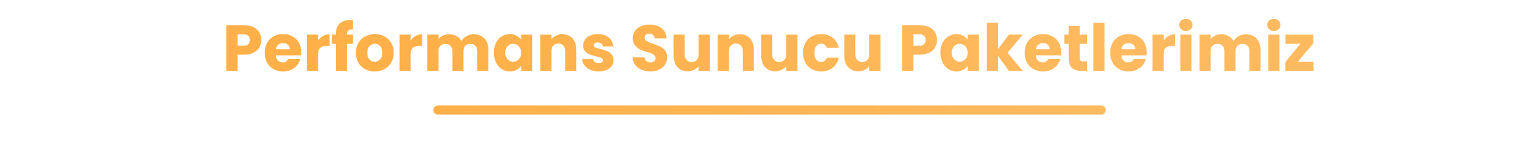 Performans Sunucu Paketlerimiz_00000.png