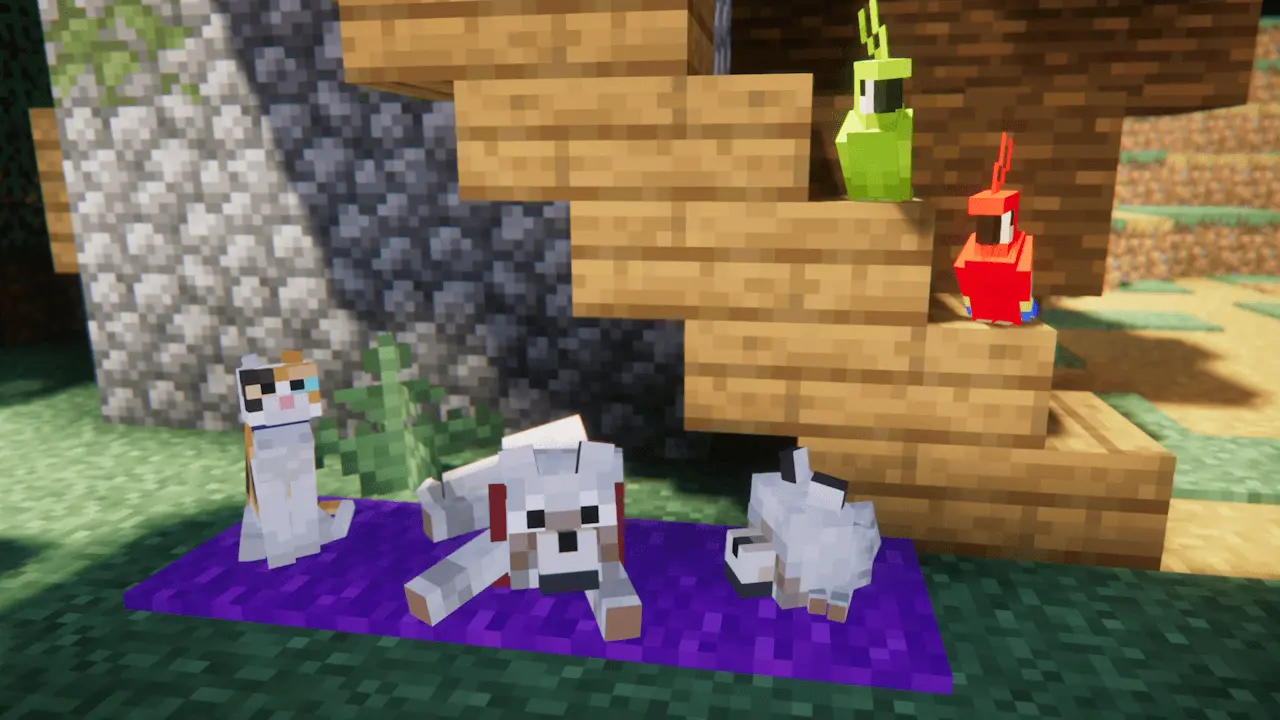 pets.webp