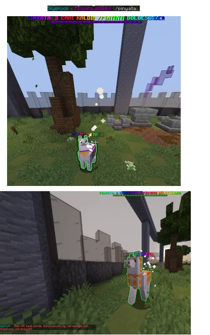 pinata.webp
