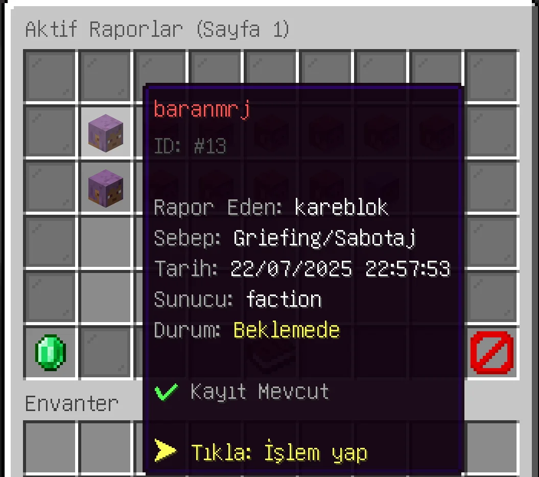 report-1.webp