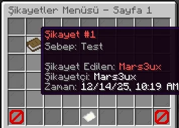 report2.webp