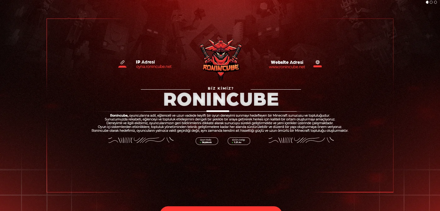 ronincube-1.webp