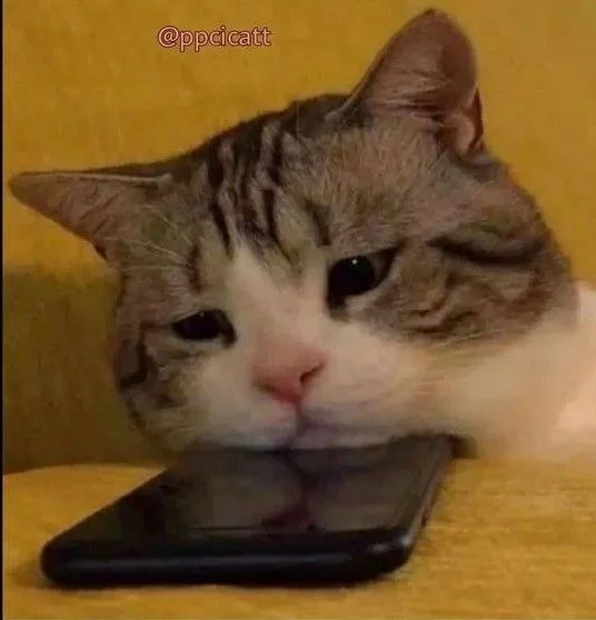 Sad caty.webp