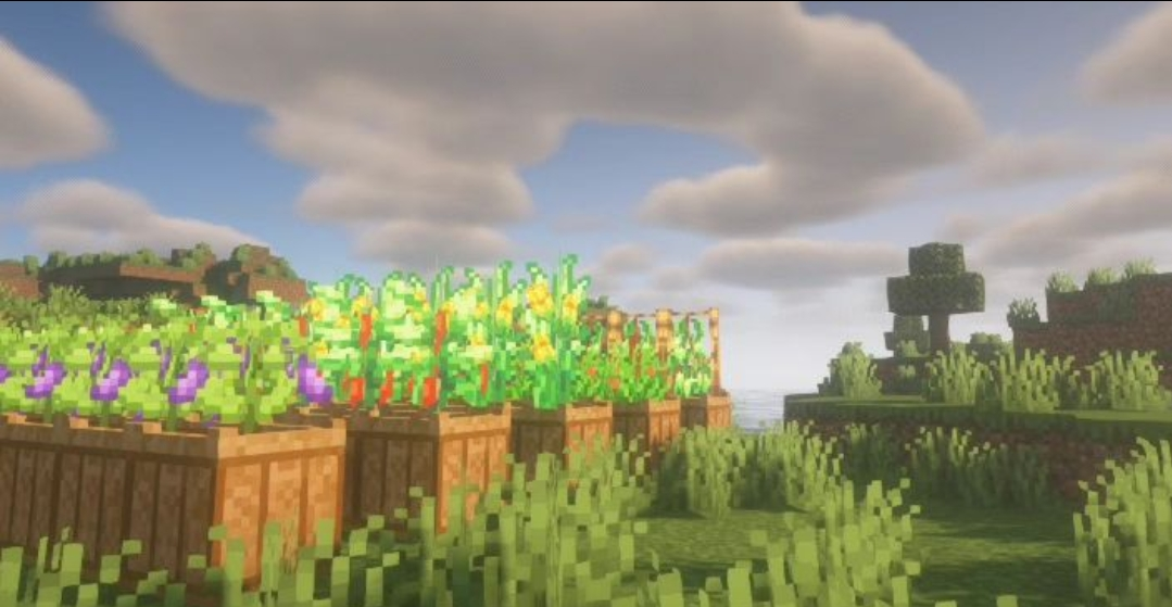 Screenshot_20231017_125351_Instagram.png