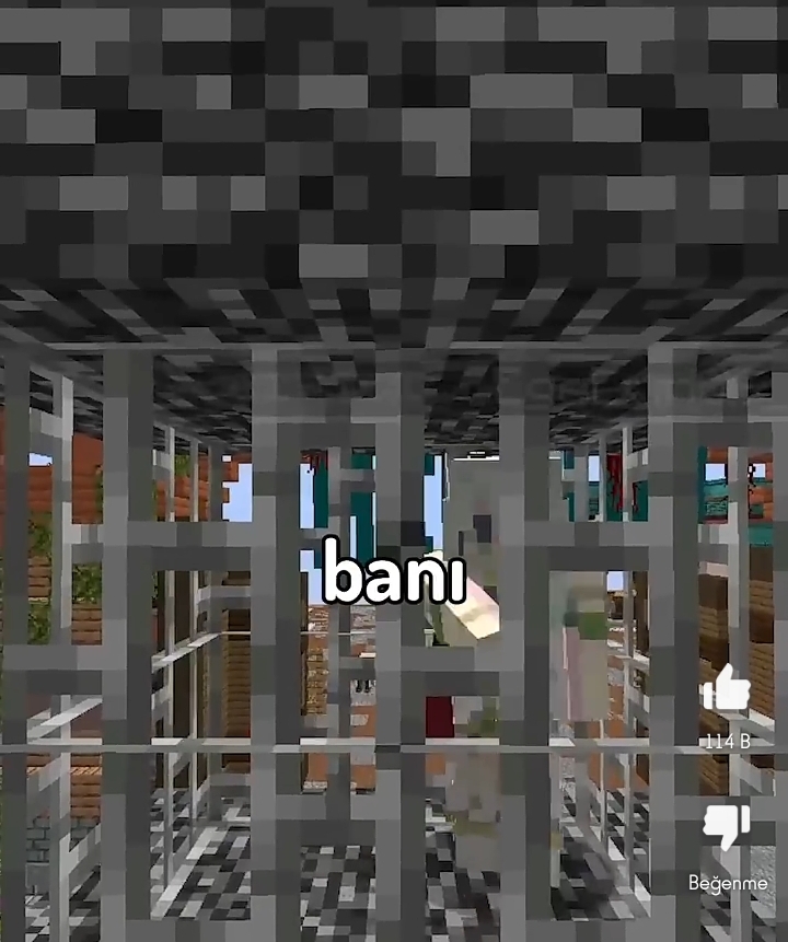 Screenshot_20240722_121631.jpg