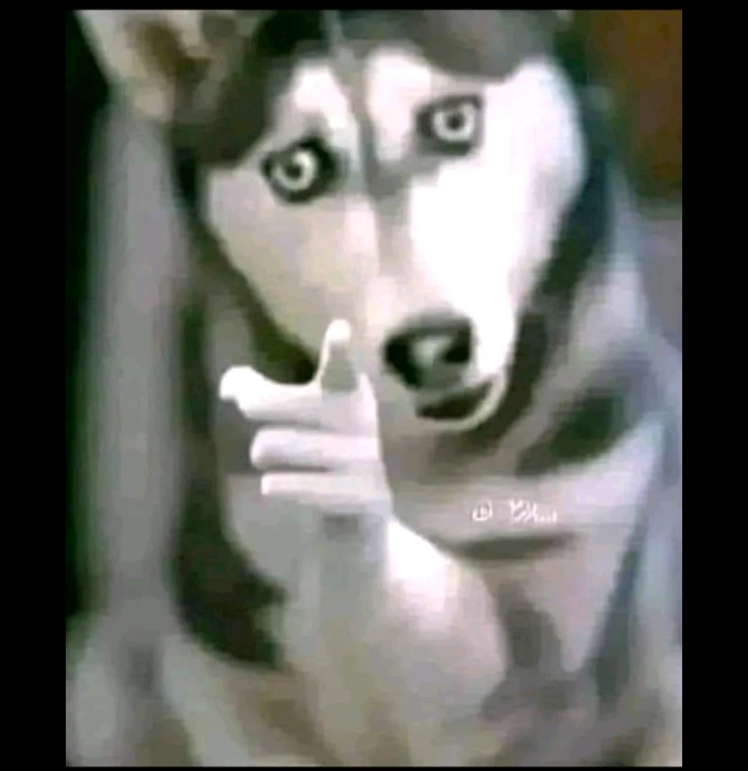 Screenshot_2025-09-14-00-29-09-789_com.zhiliaoapp.musically-edit.webp
