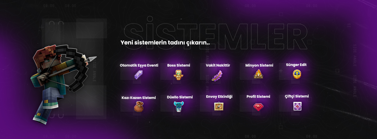 sistemler03 mor .jpg
