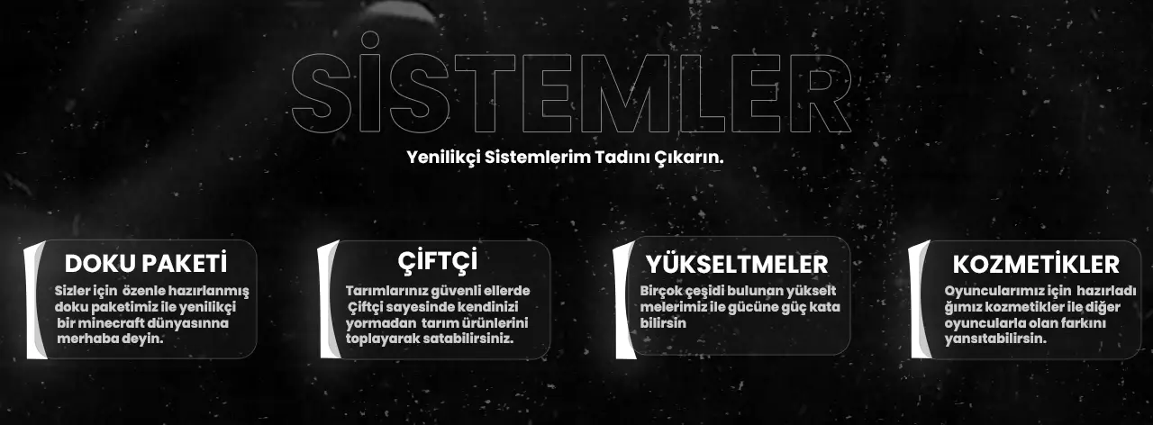 sistemler03.webp