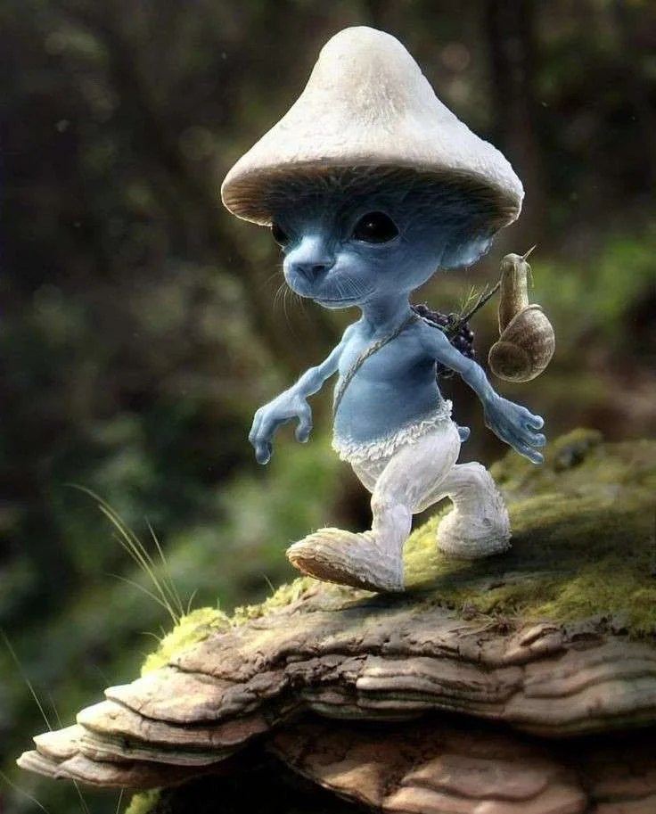 Smurf cat.webp