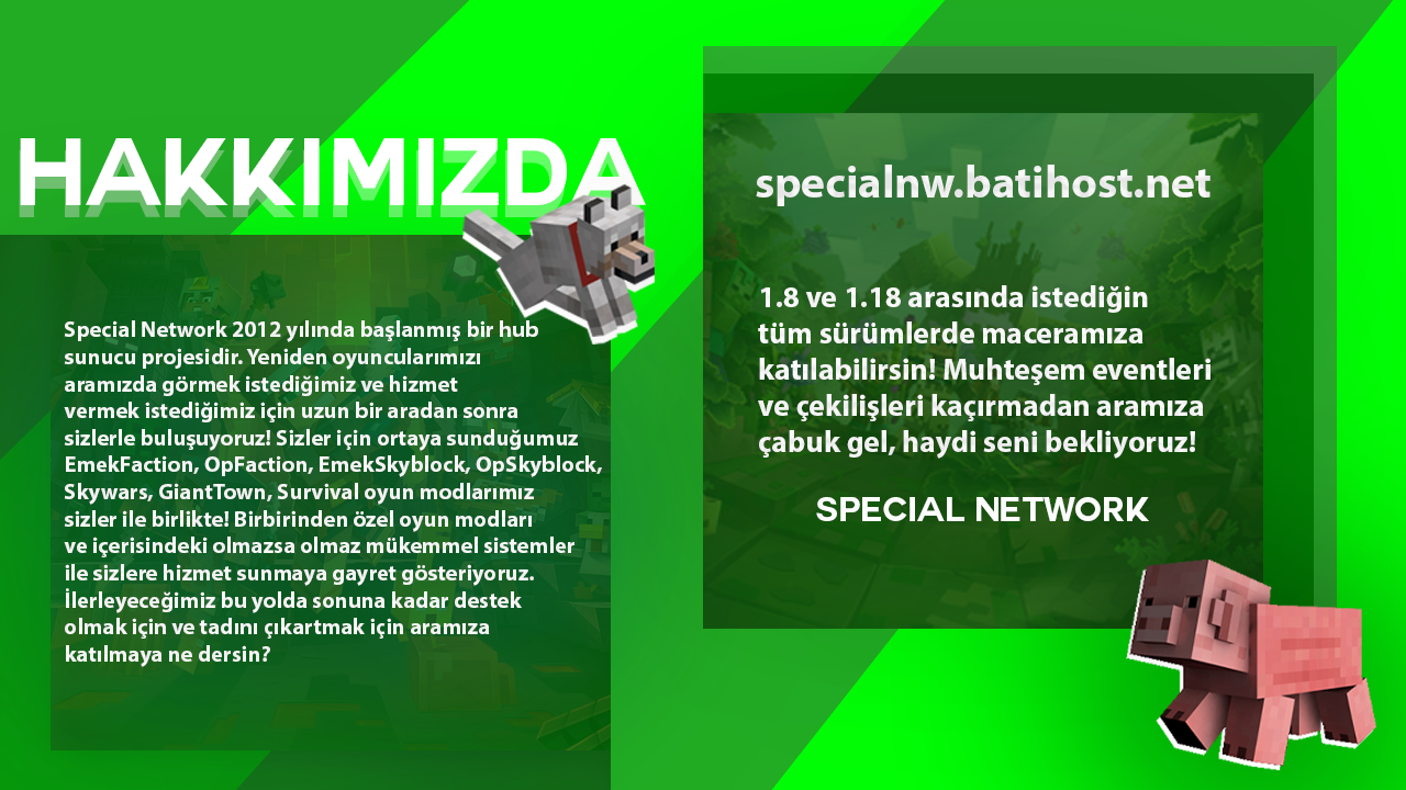 SpecialNetworkHakkmzda-2.png