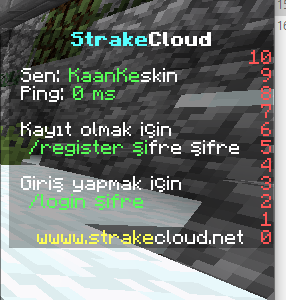 ss.png