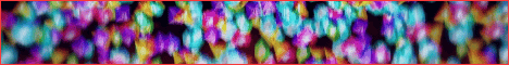 standard (1).gif