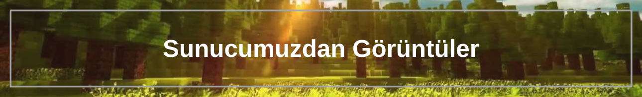 Sunucu Görüntülerimiz.png