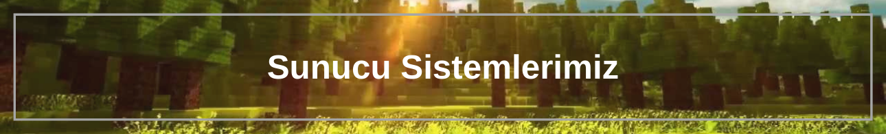 Sunucu Sistemlerimiz.png