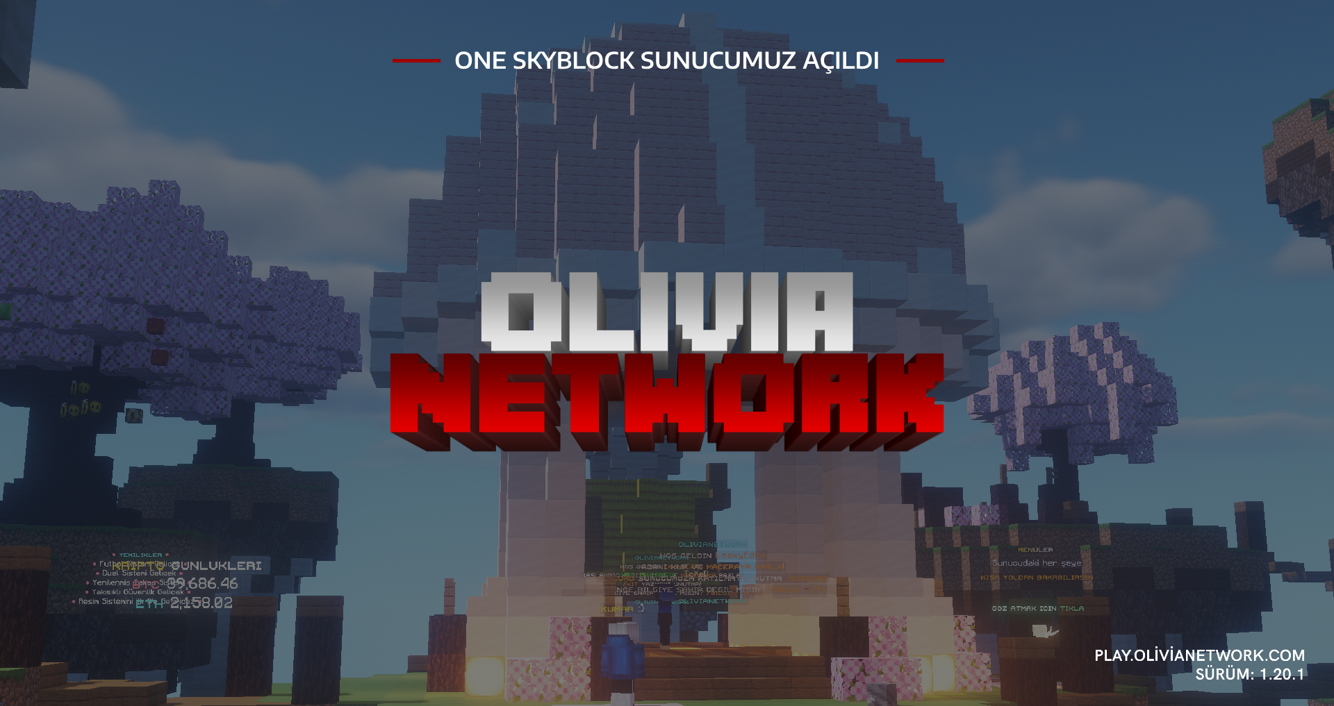 sunucu1.png
