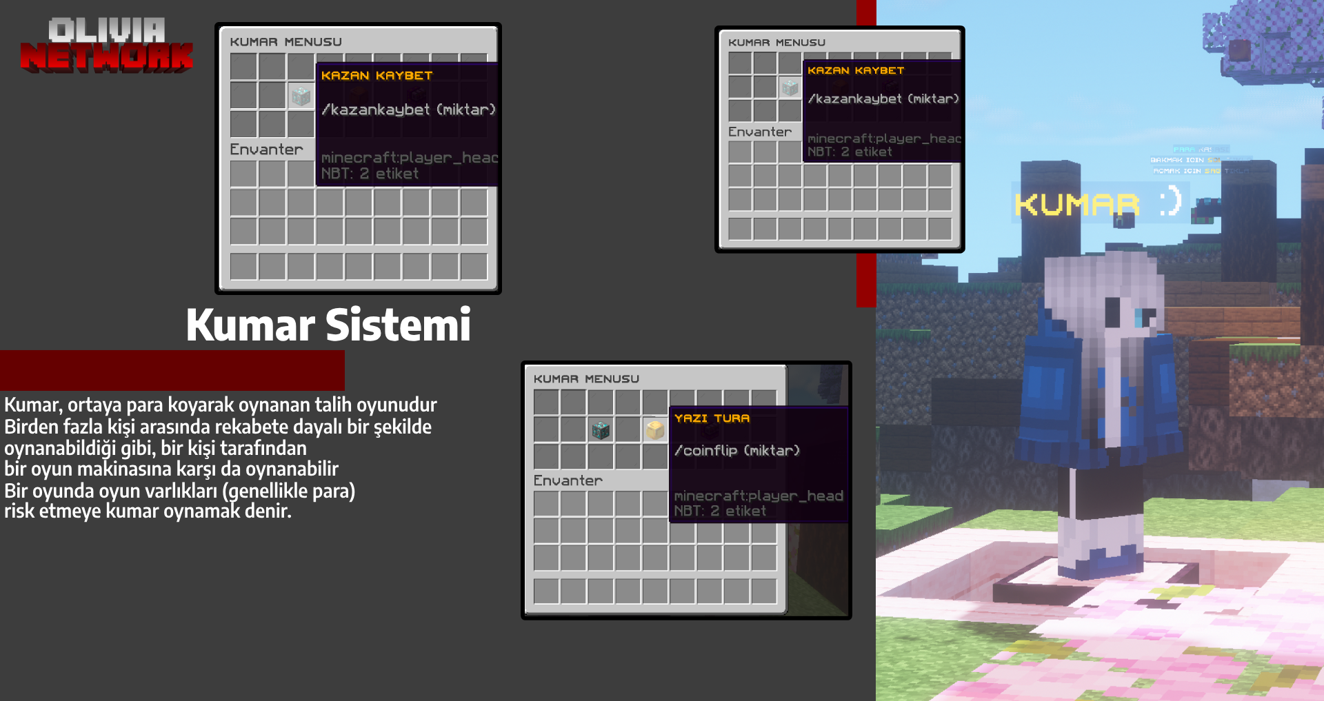 sunucu3.png