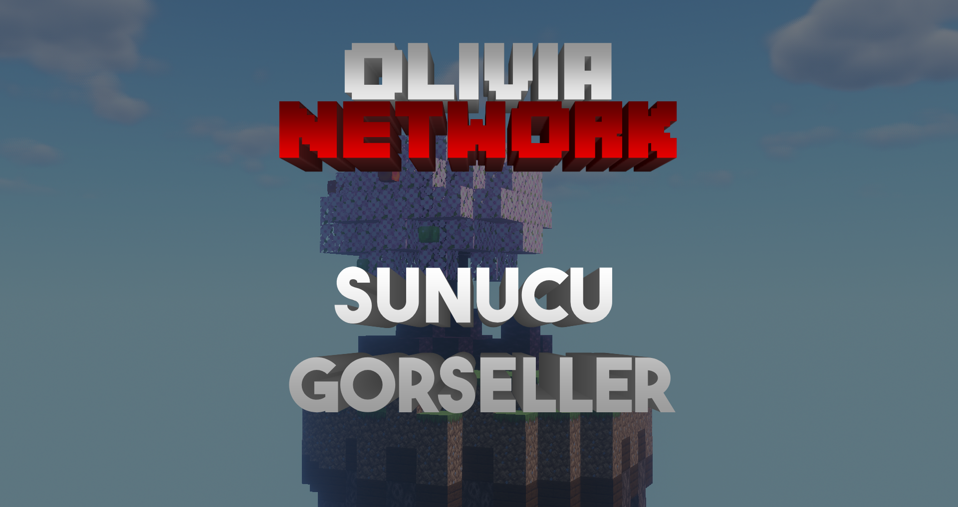 sunucu5.png