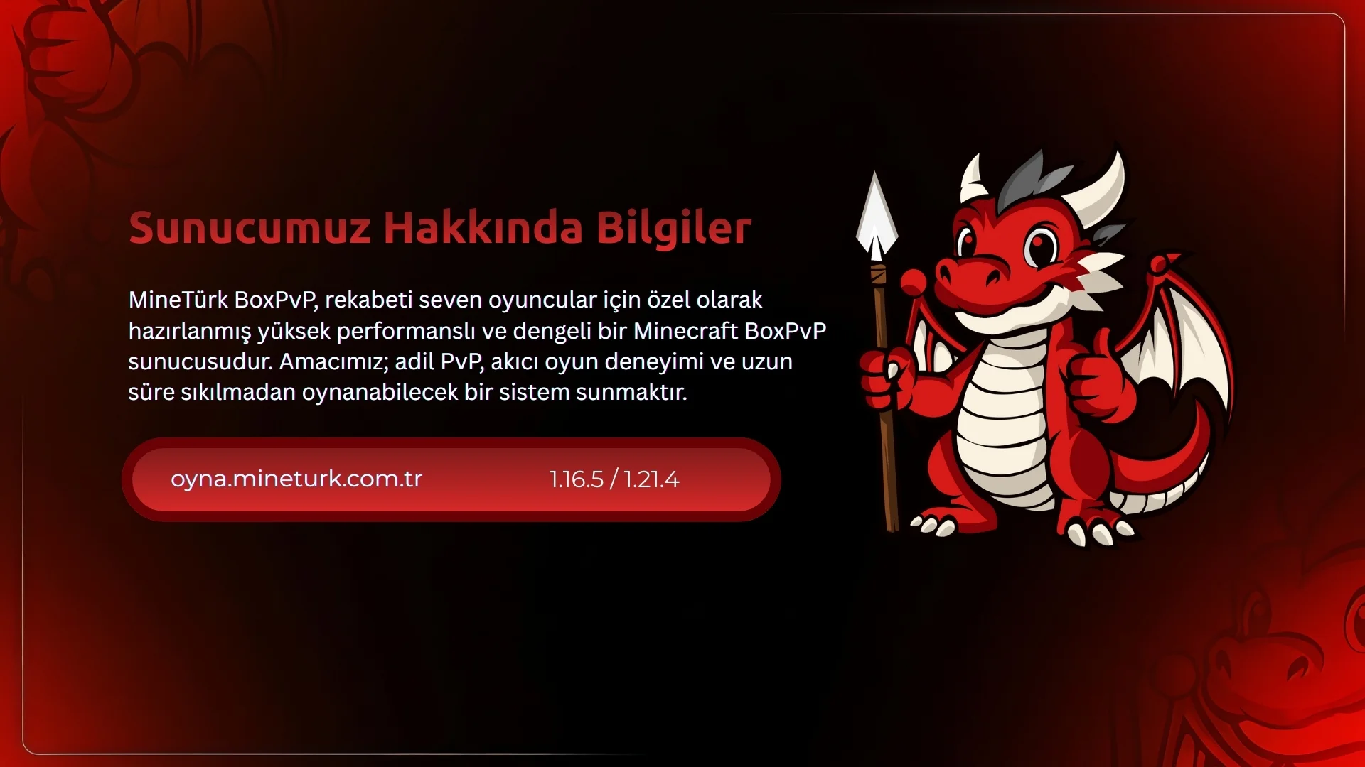 Sunucumuz Hakkında Bilgiler.webp