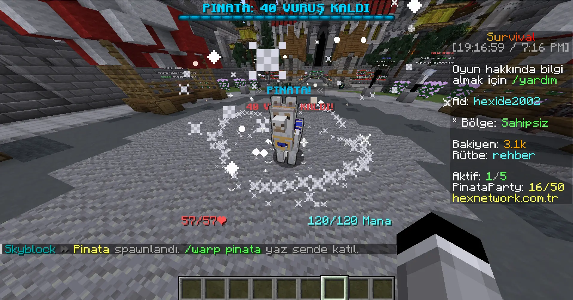survival 4.webp