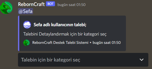 talep kategori seçme.png