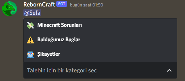 talep kategoriler.png