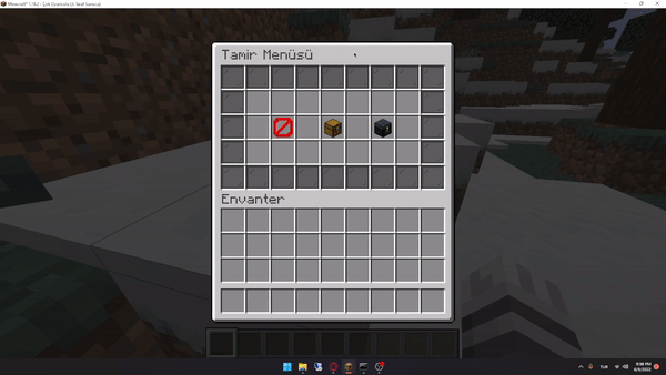 tamir1.gif