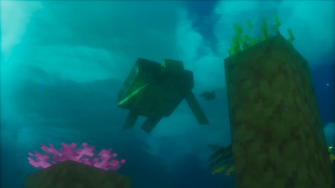 turtles.webp