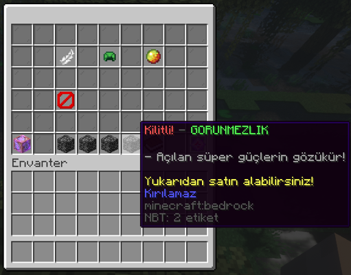 unknown (9).png