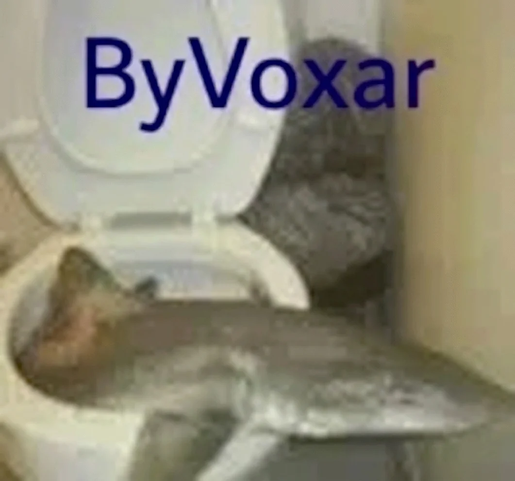 VoxarAdam.webp