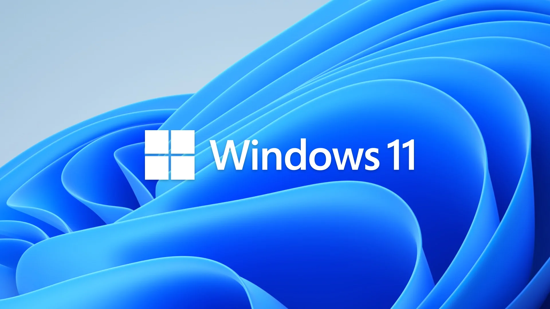 Windows 11.webp