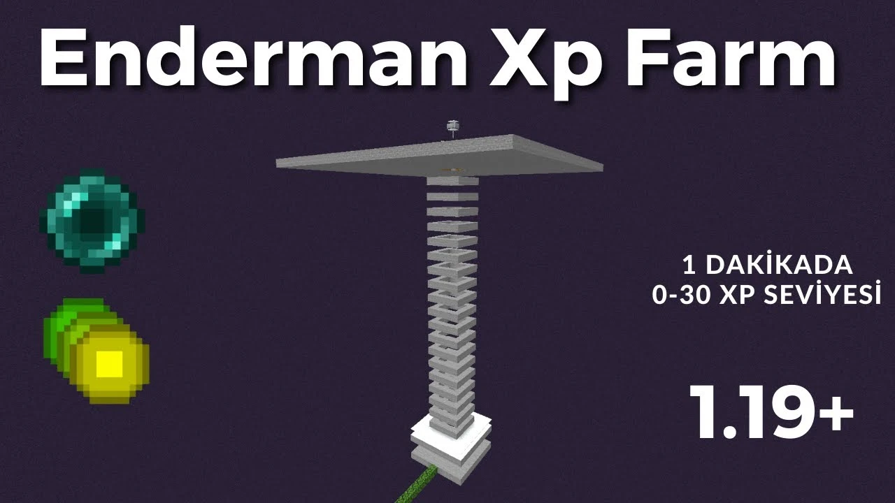 xpf1.2.webp