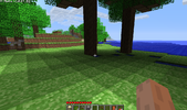 mc-tr1.png