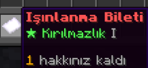 bilet5.png