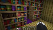 minecraft4.jpg