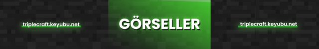 TR4.png